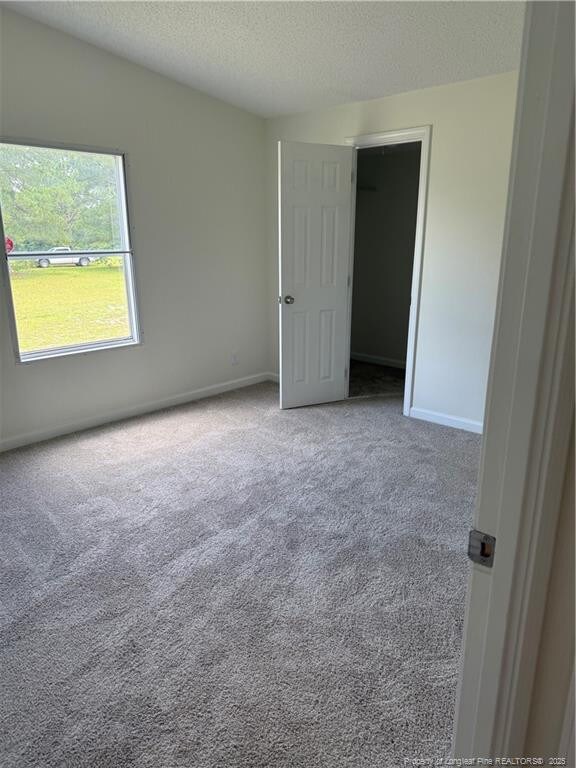 205 Prairie Ln, Autryville, NC 28318 - photo 23