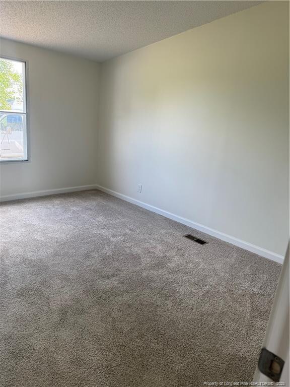 205 Prairie Ln, Autryville, NC 28318 - photo 25