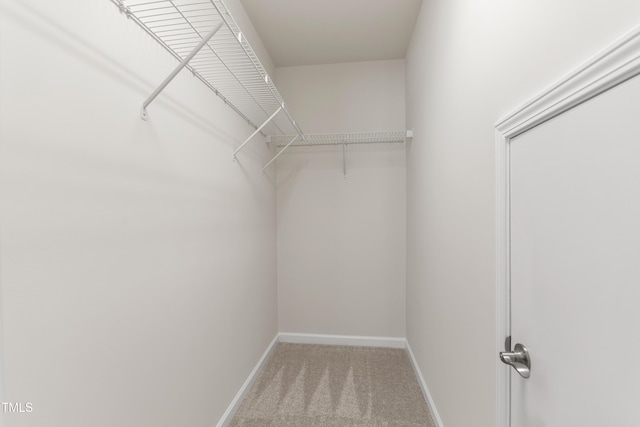1320 Cozy Oak Ave, Cary, NC 27519 - walk in closet with carpet flooring