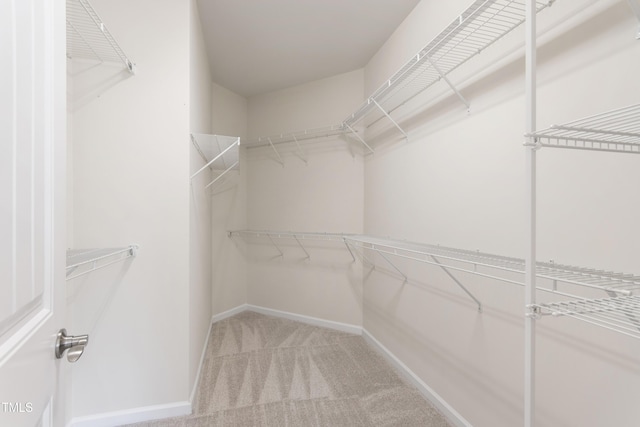 1320 Cozy Oak Ave, Cary, NC 27519 - spacious closet with carpet floors