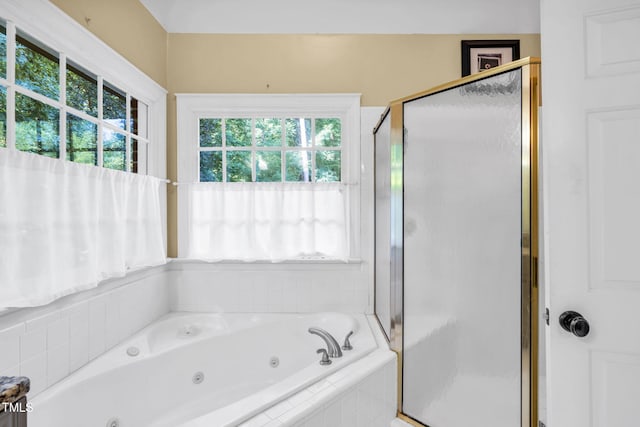 9009 Hometown Dr, Raleigh, NC 27615 - full bath featuring plenty of natural light, a shower stall, and a tub with jets