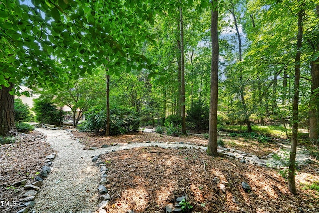 9009 Hometown Dr, Raleigh, NC 27615 - view of yard