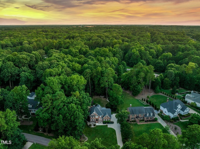 9009 Hometown Dr, Raleigh, NC 27615 - aerial view at dusk of a forest view