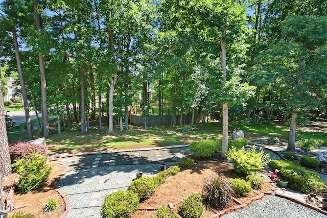 3610 Long Ridge Rd, Durham, NC 27703 - view of yard