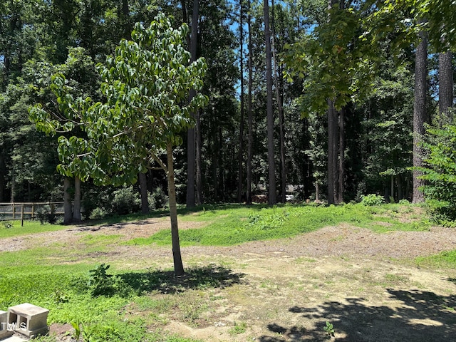 3323 Baugh St, Raleigh, NC 27604 - view of yard