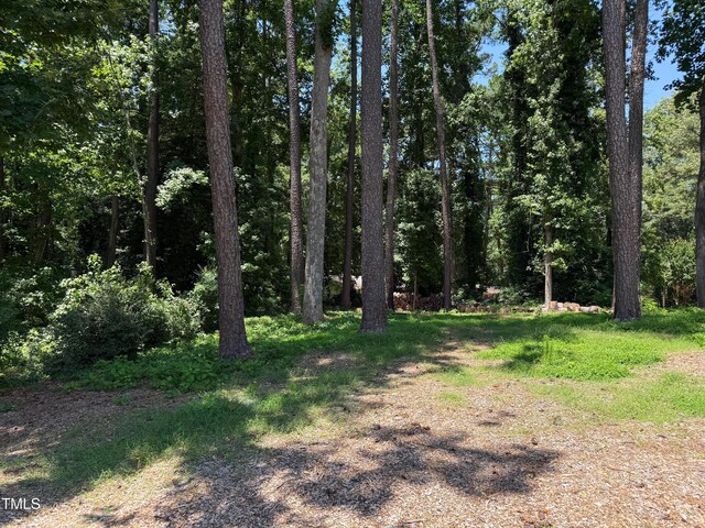 3323 Baugh St, Raleigh, NC 27604 - view of tree filled area