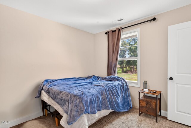 2998 Matthews Mill Pond Rd, Angier, NC 27501 - photo 18