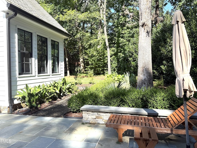 1054 Canterbury Ln, Chapel Hill, NC 27517 - view of patio
