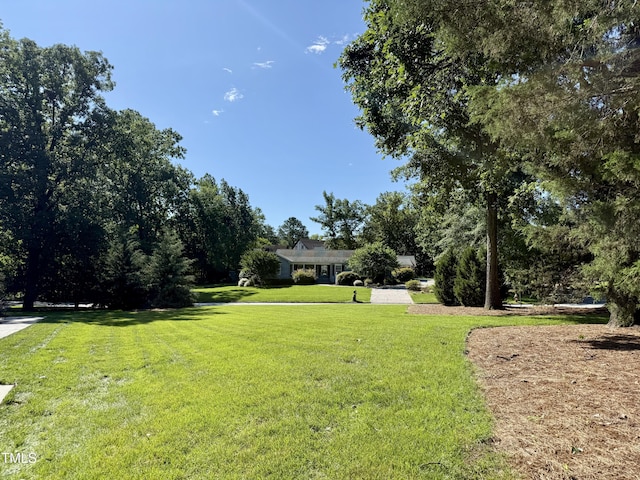 1054 Canterbury Ln, Chapel Hill, NC 27517 - view of grassy yard