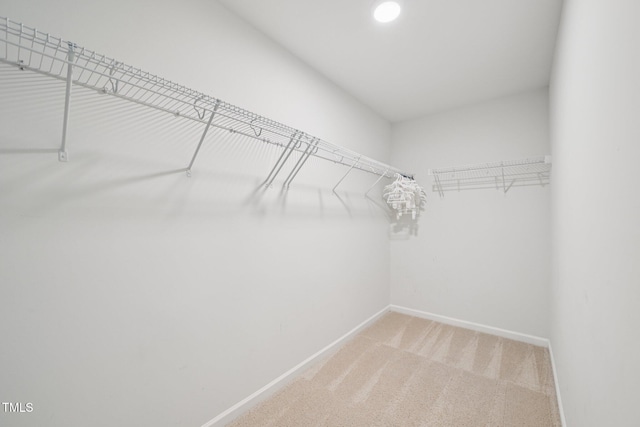 825 Sunshade Creek Dr, Wake Forest, NC 27587 - photo 25