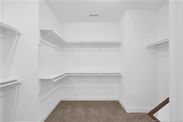 116 School Side Dr, Spring Lake, NC 28390 - spacious closet featuring carpet floors