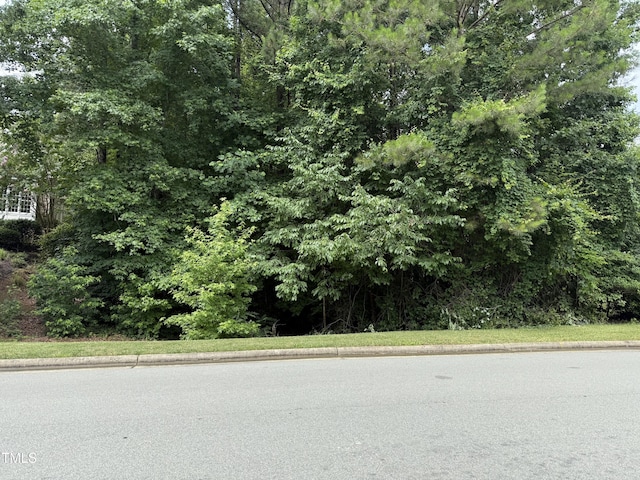 533 Bear Tree Crk, Chapel Hill, NC 27517