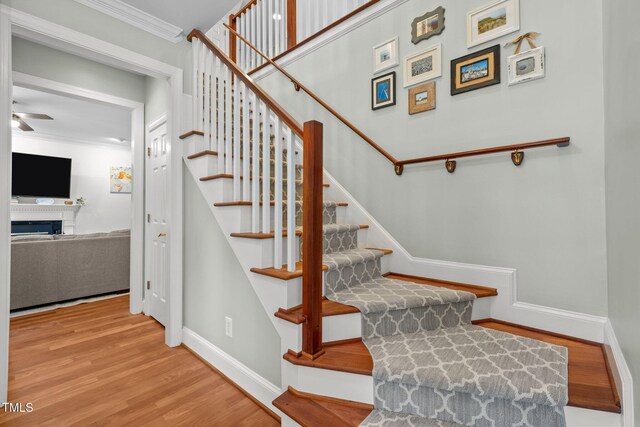 105 Jolyn Pl, Chapel Hill, NC 27517 - photo 7