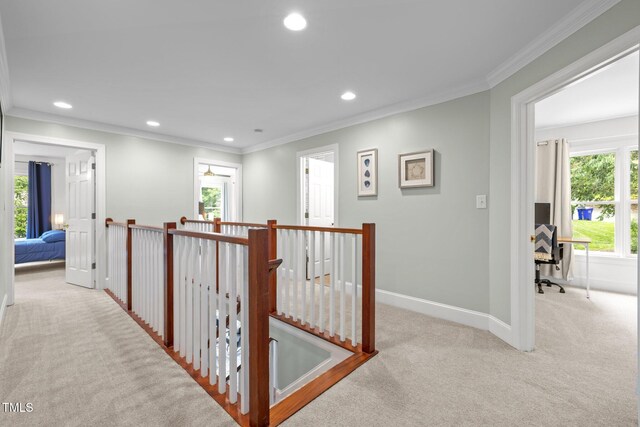 105 Jolyn Pl, Chapel Hill, NC 27517 - photo 20