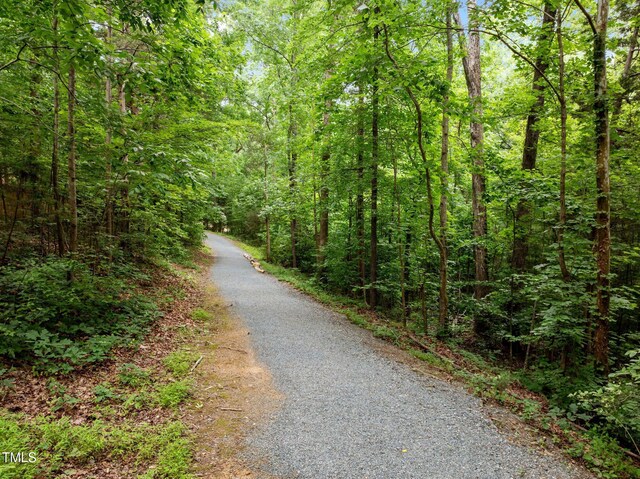 105 Jolyn Pl, Chapel Hill, NC 27517 - photo 41