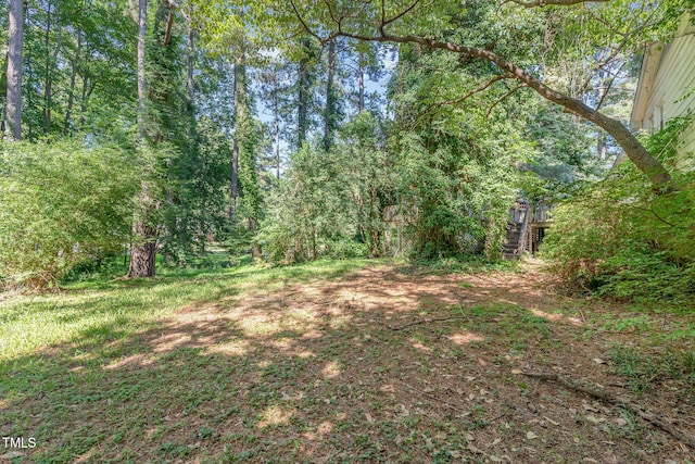 612 Locust Ln, Raleigh, NC 27603 - view of tree filled area