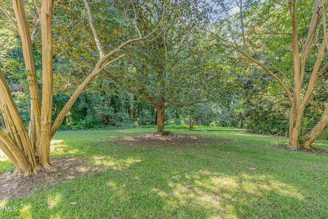 612 Locust Ln, Raleigh, NC 27603 - view of grassy yard