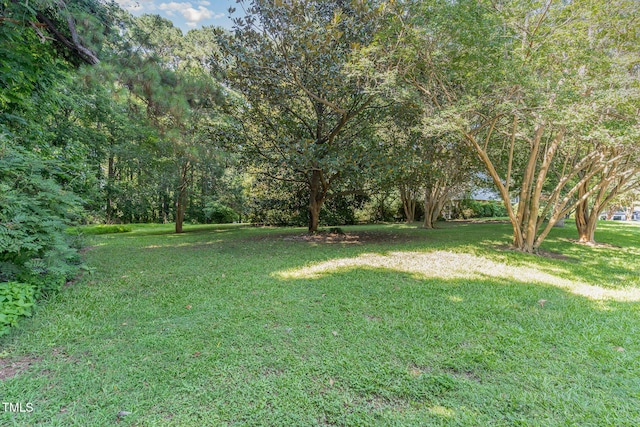 612 Locust Ln, Raleigh, NC 27603 - view of grassy yard