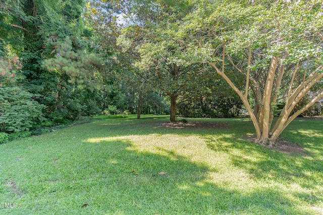 612 Locust Ln, Raleigh, NC 27603 - view of grassy yard