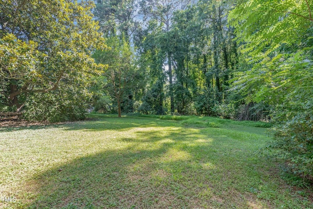 612 Locust Ln, Raleigh, NC 27603 - view of grassy yard with a view of trees