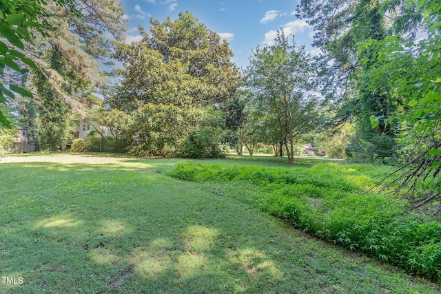 612 Locust Ln, Raleigh, NC 27603 - view of grassy yard