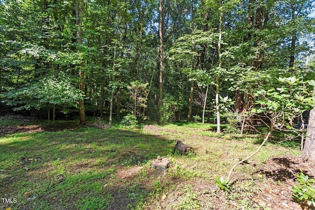 701 Bennington Dr, Raleigh, NC 27615 - view of local wilderness