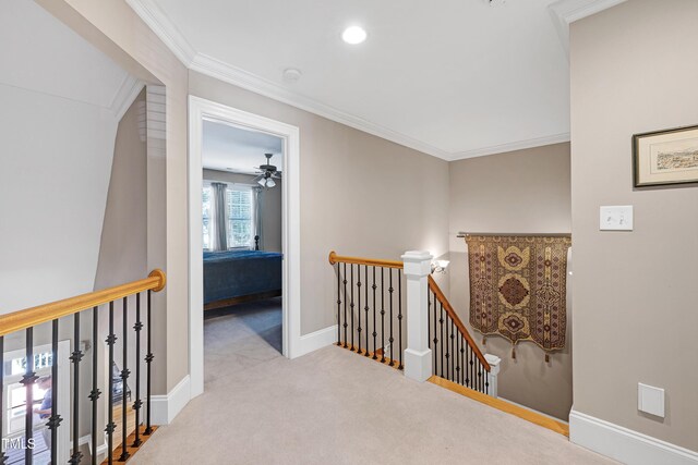 9048 Chelsea Dr, Raleigh, NC 27603 - photo 33