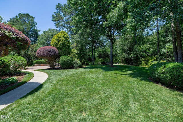 9048 Chelsea Dr, Raleigh, NC 27603 - photo 49