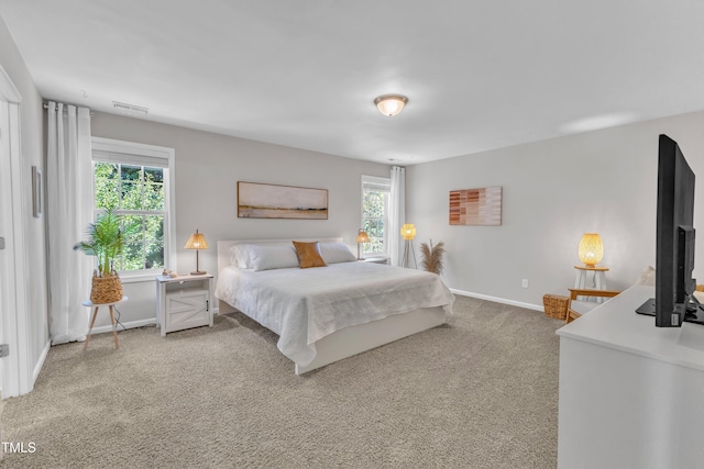 3119 Guiding Light Rd, Raleigh, NC 27610 - bedroom featuring multiple windows and carpet