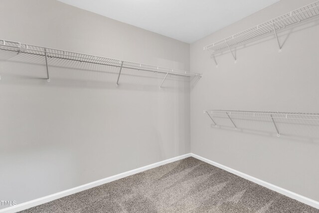 3119 Guiding Light Rd, Raleigh, NC 27610 - spacious closet with carpet floors