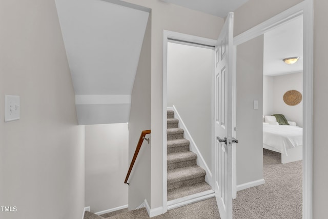 3119 Guiding Light Rd, Raleigh, NC 27610 - stairs featuring carpet