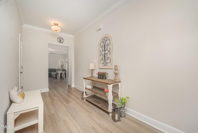 123 Teaser Dr, Fuquay Varina, NC 27526 - photo 6