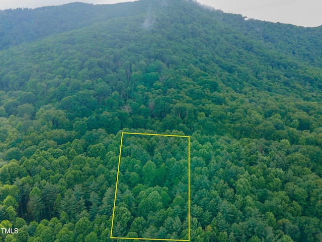 LOTS57, 58 N Ridge Runner Rd, Burnsville, NC 28714