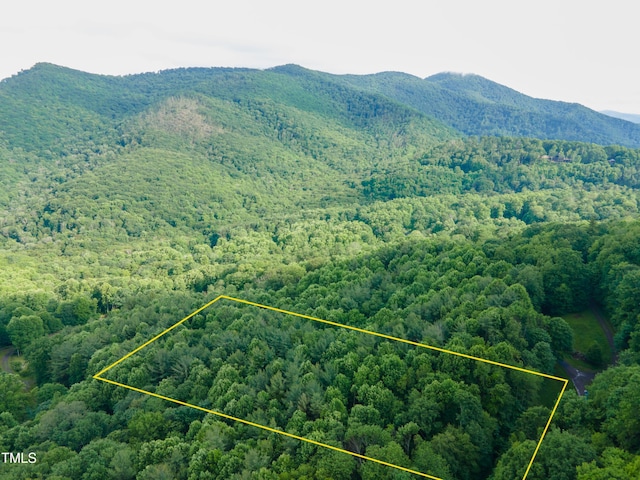 LOTS57, 58 N Ridge Runner Rd, Burnsville, NC 28714
