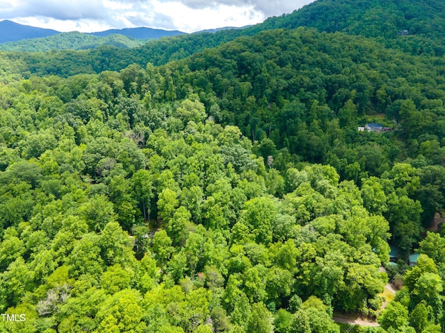 0 Cheek Circle Rd, Cherokee, NC 28789