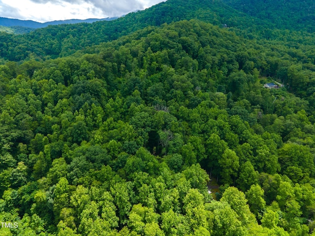 0 Cheek Circle Rd, Cherokee, NC 28789