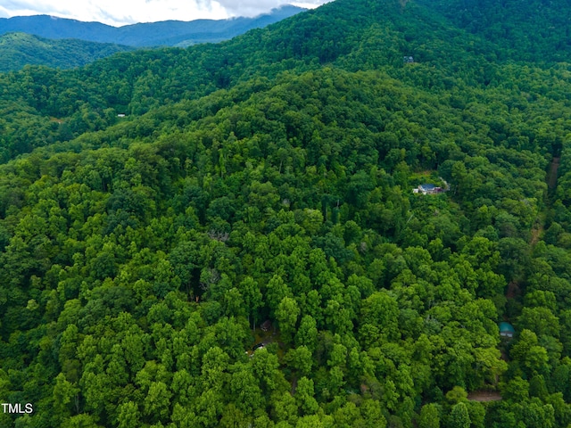 0 Cheek Circle Rd, Cherokee, NC 28789