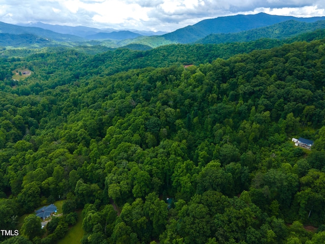 0 Cheek Circle Rd, Cherokee, NC 28789