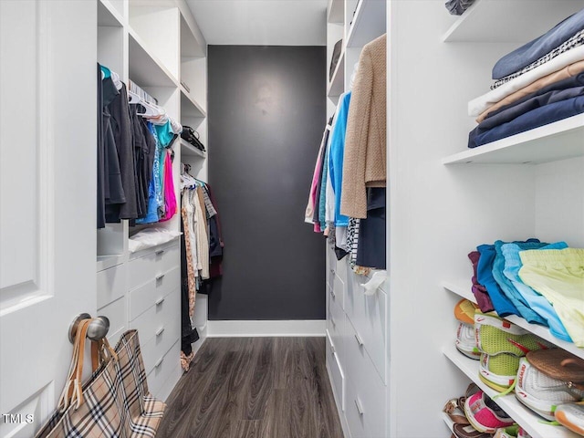 128 Chapel Run Way, Chapel Hill, NC 27517 - spacious closet featuring wood finished floors