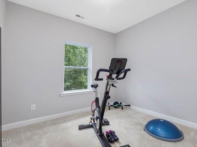 128 Chapel Run Way, Chapel Hill, NC 27517 - exercise area with baseboards and carpet