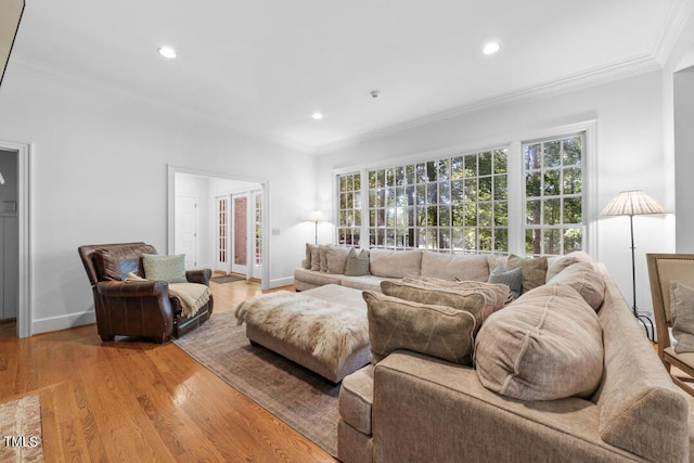 2602 Vintage Hill Ct, Durham, NC 27712 - living room with crown molding, healthy amount of natural light, recessed lighting, and light wood-type flooring