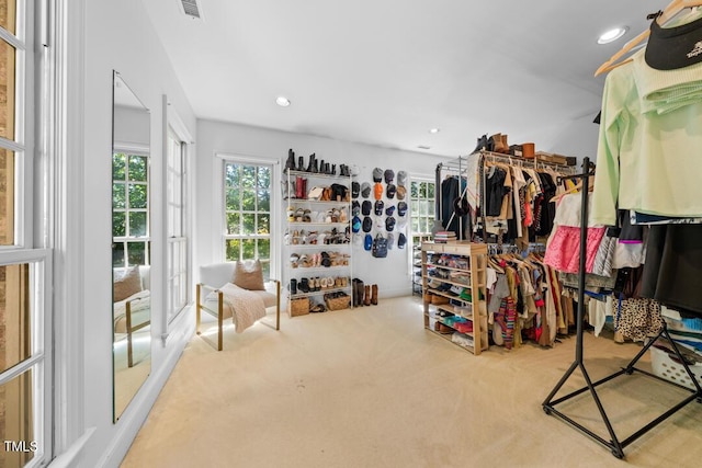 2602 Vintage Hill Ct, Durham, NC 27712 - walk in closet featuring carpet floors