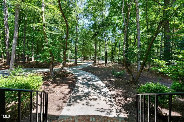 2602 Vintage Hill Ct, Durham, NC 27712 - surrounding community