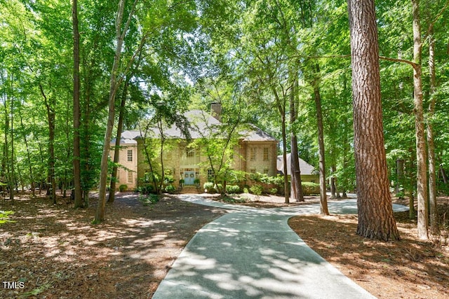 2602 Vintage Hill Ct, Durham, NC 27712 - view of front facade with a chimney