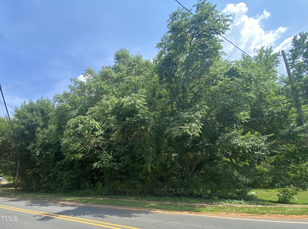 421 W Holt St, Mebane, NC 27302 - photo 1