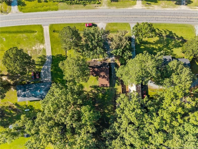 3252 Sunnyside School Rd, Fayetteville, NC 28312 - photo 32