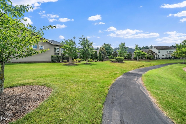 1409 Pulitzer Ln, Durham, NC 27703 - view of green lawn
