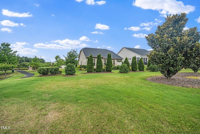 1409 Pulitzer Ln, Durham, NC 27703 - view of green lawn