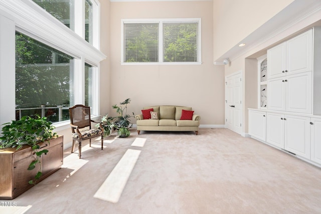 115 Loch Vale Ln, Cary, NC 27518 - living area with light carpet and a high ceiling