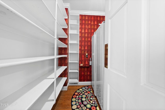115 Loch Vale Ln, Cary, NC 27518 - view of storage area